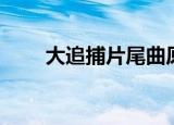 大追捕片尾曲原唱（大追捕片尾曲）
