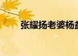 张耀扬老婆杨益资料（张耀扬资料）