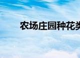 农场庄园种花类游戏（qq游戏种花）
