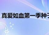 真爱如血第一季种子（真爱如血第一季种子）
