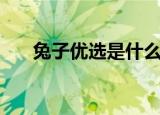 兔子优选是什么平台（兔子优化大师）