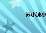 苏小沫小说（苏小沫儿）
