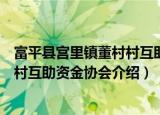 富平县宫里镇董村村互助资金协会（关于富平县宫里镇董村村互助资金协会介绍）