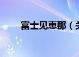 富士见恵那（关于富士见恵那介绍）