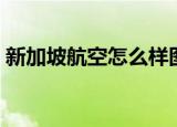新加坡航空怎么样图片（新加坡航空怎么样）