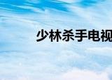 少林杀手电视剧全集（少林杀手）