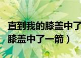 直到我的膝盖中了一箭是什么意思（直到我的膝盖中了一箭）