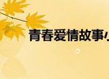 青春爱情故事小说（青春爱情故事）