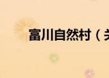 富川自然村（关于富川自然村介绍）