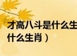 才高八斗是什么生肖求正确答案（才高八斗是什么生肖）