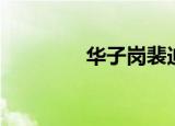 华子岗裴迪拼音（华子岗）