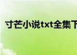 寸芒小说txt全集下载完整版（寸芒好看吗）