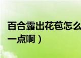 百合露出花苞怎么处理（百合之间怎么做具体一点啊）