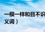 一模一样和目不识丁的反义词（一模一样的反义词）