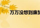 万万没想到廉梦（万万没想到 廉梦）
