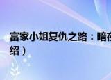 富家小姐复仇之路：暗夜（关于富家小姐复仇之路：暗夜介绍）