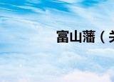 富山藩（关于富山藩介绍）