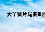 大丫鬟片尾曲叫什么名（大丫鬟片尾曲）