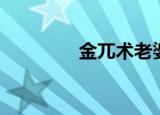 金兀术老婆（金兀术简介）