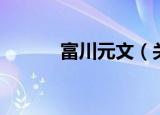 富川元文（关于富川元文介绍）