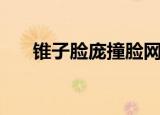锥子脸庞撞脸网红（锥子脸网络红人）
