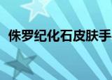 侏罗纪化石皮肤手感（侏罗纪化石 克格莫）