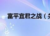 富平宜君之战（关于富平宜君之战介绍）