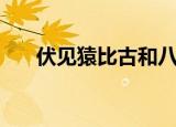 伏见猿比古和八田美咲（伏见猿比古）