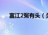 富江2冤有头（关于富江2冤有头介绍）