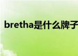 bretha是什么牌子的电脑平车（brethren）