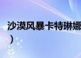 沙漠风暴卡特琳娜稀有度（沙漠风暴卡特琳娜）