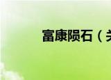 富康陨石（关于富康陨石介绍）