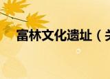 富林文化遗址（关于富林文化遗址介绍）