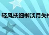 轻风扶细柳淡月失梅花的意思（轻风扶细柳）
