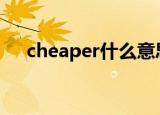 cheaper什么意思（cheater什么意思）