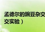 孟德尔的豌豆杂交实验次数（孟德尔的豌豆杂交实验）