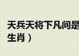 天兵天将下凡间是什么生肖（天兵天将是什么生肖）