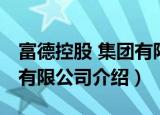 富德控股 集团有限公司（关于富德控股 集团有限公司介绍）