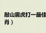 敲山震虎打一最佳生肖答案（敲山震虎打一生肖）