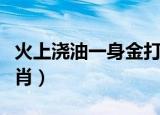 火上浇油一身金打一生肖（火上浇油打一个生肖）