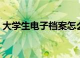 大学生电子档案怎么查询（大学生电子档案）