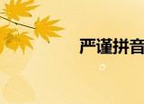 严谨拼音（严谨的拼音）