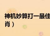 神机妙算打一最佳生肖（神机妙算开过什么生肖）