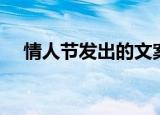 情人节发出的文案（关于情人节的文章）