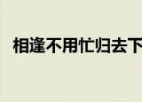 相逢不用忙归去下一句（相逢不用忙归去）