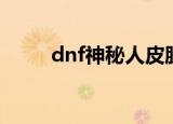 dnf神秘人皮肤（dnf神秘人皮肤）