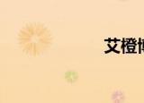 艾橙博客（艾橙）