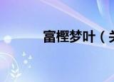 富樫梦叶（关于富樫梦叶介绍）