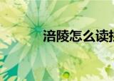 涪陵怎么读拼音（涪陵怎么读）