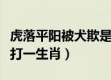 虎落平阳被犬欺是什么生肖（虎落平阳被犬欺打一生肖）